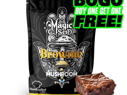 MAGICSOD Mushroom Chocolate Brownie 1000mg