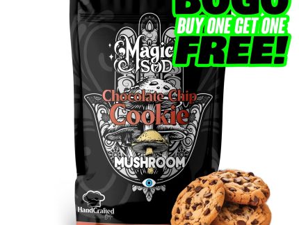 MAGICSOD Mushroom Chocolate Chip Cookie 1000mg